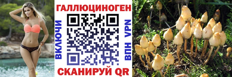 Псилоцибиновые грибы Cubensis  Елец 